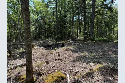 M6L21 Great Cove Road, Roque Bluffs, ME 04654 - Photo 13