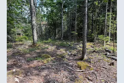 M6L21 Great Cove Road, Roque Bluffs, ME 04654 - Photo 17
