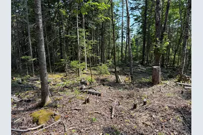 M6L21 Great Cove Road, Roque Bluffs, ME 04654 - Photo 15