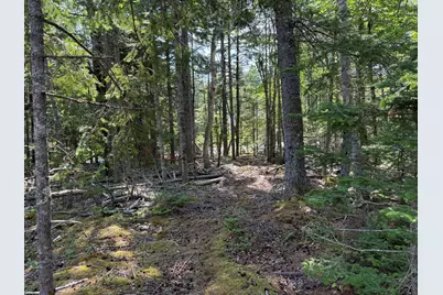 M6L21 Great Cove Road, Roque Bluffs, ME 04654 - Photo 5