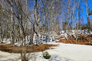 372 River Rd, Avon, ME 04966 - Photo 33