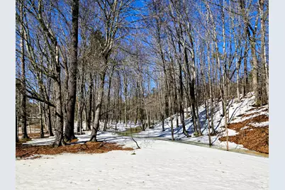 372 River Road, Avon, ME 04966 - Photo 57