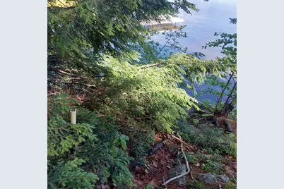 Lot 25A Sokokis Road, Sebago, ME 04029 - Photo 27