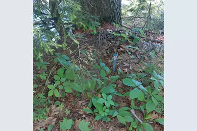 Lot 25A Sokokis Road, Sebago, ME 04029 - Photo 25