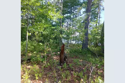 Lot 25A Sokokis Road, Sebago, ME 04029 - Photo 23