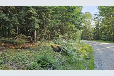 01-Lot 26 County Road, Greenfield Twp, ME 04461 - Photo 1