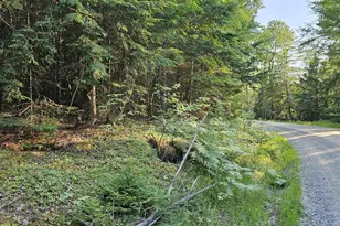 01-Lot 26 County Rd, Greenfield Twp, ME 04461 - Photo 1