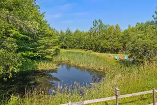 308 Ridge Rd, Monmouth, ME 04259 - Photo 53