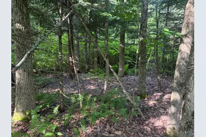 Map 135/23 Burgess Hill Road, Rumford, ME 04276 - Photo 5