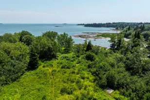 Lot43+45 Reynolds Ln, Addison, ME 04606 - Photo 15
