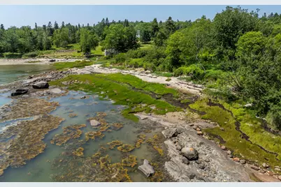 Lot43+45 Reynolds Lane, Addison, ME 04606 - Photo 7