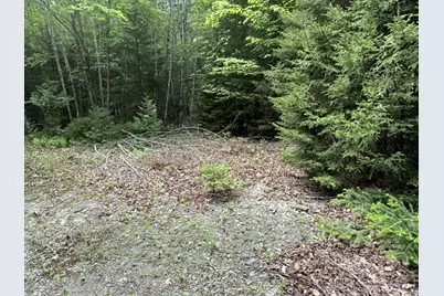 Wa031P6L19 Peninsula Road, Marion Twp, ME 04628 - Photo 7