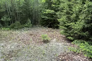 Wa031P6L19 Peninsula Rd, Marion Twp, ME 04628 - Photo 7