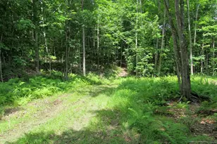 101 Thurlow Dr, Hartford, ME 04220 - Photo 59