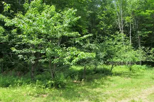 101 Thurlow Dr, Hartford, ME 04220 - Photo 55