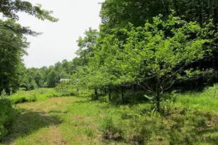 101 Thurlow Dr, Hartford, ME 04220 - Photo 57