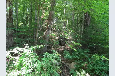 101 Thurlow Drive, Hartford, ME 04220 - Photo 3