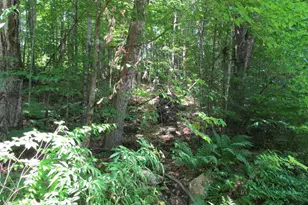 101 Thurlow Dr, Hartford, ME 04220 - Photo 3