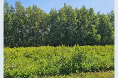 Lot 9 Lakeview Road, Milo, ME 04463 - Photo 13