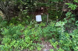 364 Goose Cove Rd, Trenton, ME 04605 - Photo 15