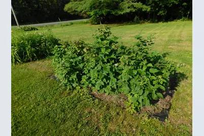411 White School House Road, Madison, ME 04950 - Photo 13