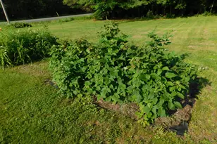 411 White School House Rd, Madison, ME 04950 - Photo 13