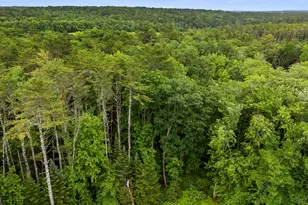 Lot 29 Elmwood Rd, Pownal, ME 04069 - Photo 1