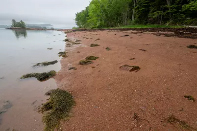 21 Red Beach Lane, Calais, ME 04619 - Photo 13