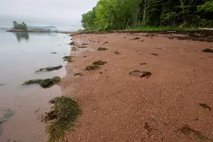 21 Red Bch Ln, Calais, ME 04619 - Photo 13