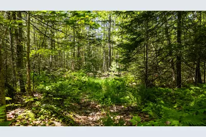 Lot 1 River Road, Woolwich, ME 04579 - Photo 15