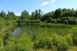 181 Ellingwood Rd, Paris, ME 04281 - Photo 3
