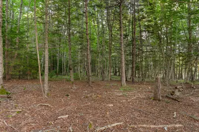5 Cedar Hill Road, Tremont, ME 04674 - Photo 59