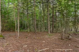 5 Cedar Hill Rd, Tremont, ME 04674 - Photo 59