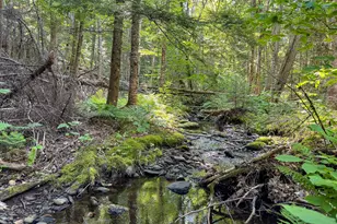 498 Freedom Rd, Prentiss Twp T7 R3 NBPP, ME 04487 - Photo 19