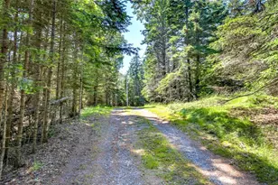 524 Rays Point Rd, Milbridge, ME 04658 - Photo 77