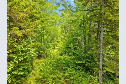 0 Catamount Road, Sullivan, ME 04664 - Photo 17