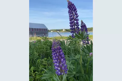 54 Water Street, Lubec, ME 04652 - Photo 9