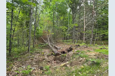 29C Shepherds River Road, Brownfield, ME 04010 - Photo 5