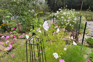 4 Meadow Cove Rd, Boothbay, ME 04544 - Photo 55