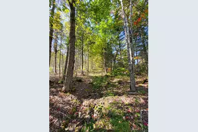Lot 7 Brown Road, Oakfield, ME 04763 - Photo 9