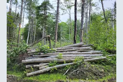 Lot 7 Brown Road, Oakfield, ME 04763 - Photo 11