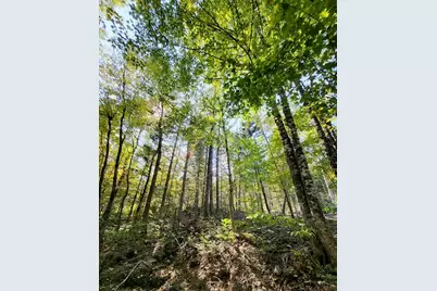 Lot 7 Brown Road, Oakfield, ME 04763 - Photo 7