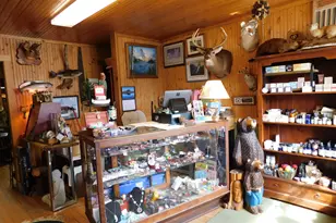 15 Moosehead Lake Rd, Greenville, ME 04441 - Photo 3