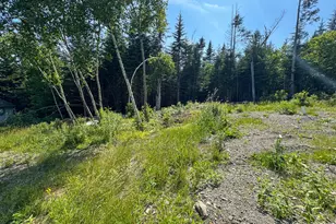 1125 Boot Cove Rd, Lubec, ME 04652 - Photo 19