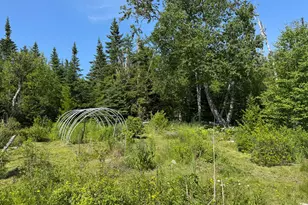1125 Boot Cove Rd, Lubec, ME 04652 - Photo 15