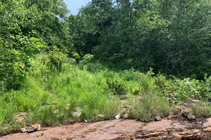 Lot 15 Austin Point Rd, Harpswell, ME 04079 - Photo 11