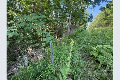 Lot 3 Fisher Drive, Limerick, ME 04048 - Photo 5