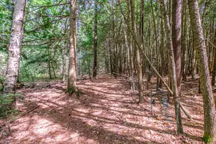 262 Holmes Rd, Scarborough, ME 04074 - Photo 51