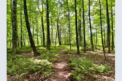 0 Benson Hill Road #Map016,Lot009, West Paris, ME 04289 - Photo 3