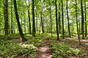 0 Benson Hill Rd, West Paris, ME 04289 - Photo 3